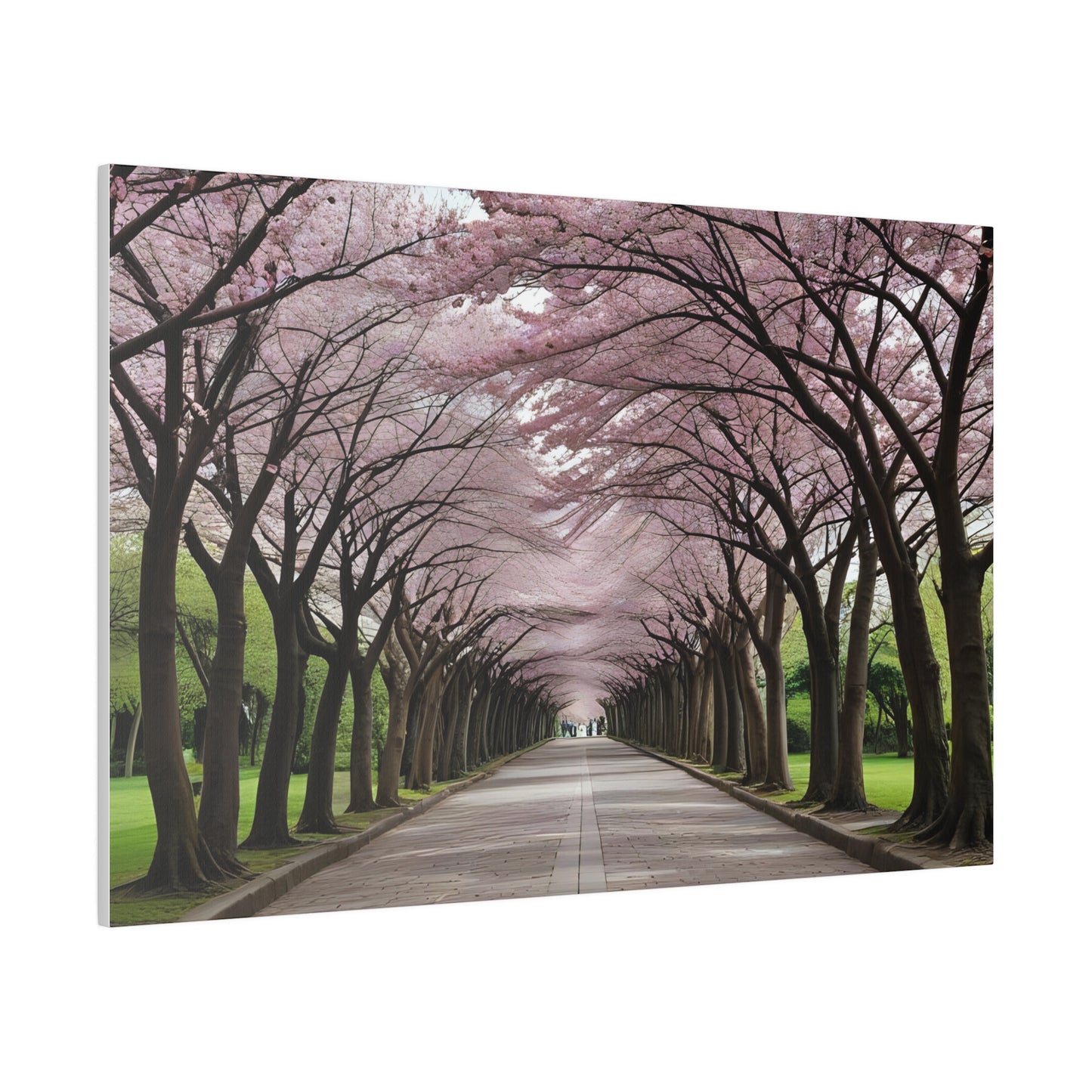 Cherry Blossoms, Wall Art, Matte Canvas, Stretched, 0.75"