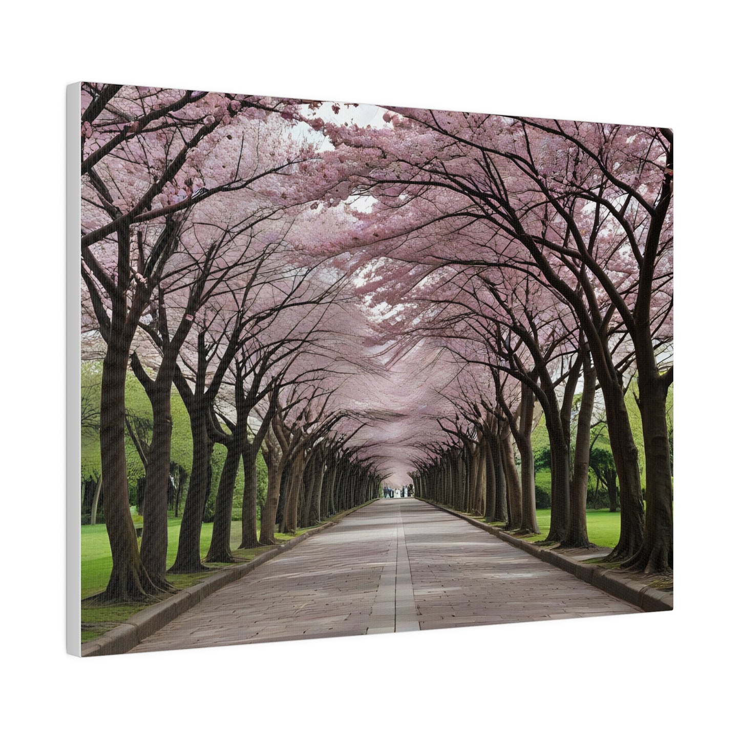 Cherry Blossoms, Wall Art, Matte Canvas, Stretched, 0.75"