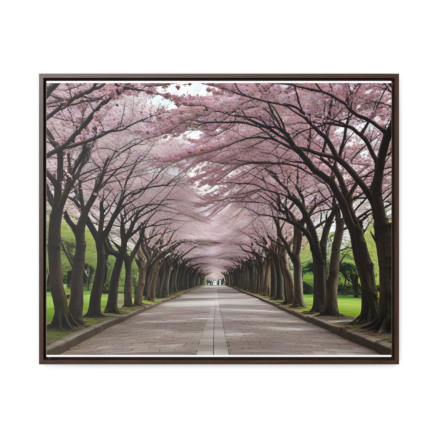 Cherry Blossoms, Gallery Canvas Wraps, Horizontal Frame