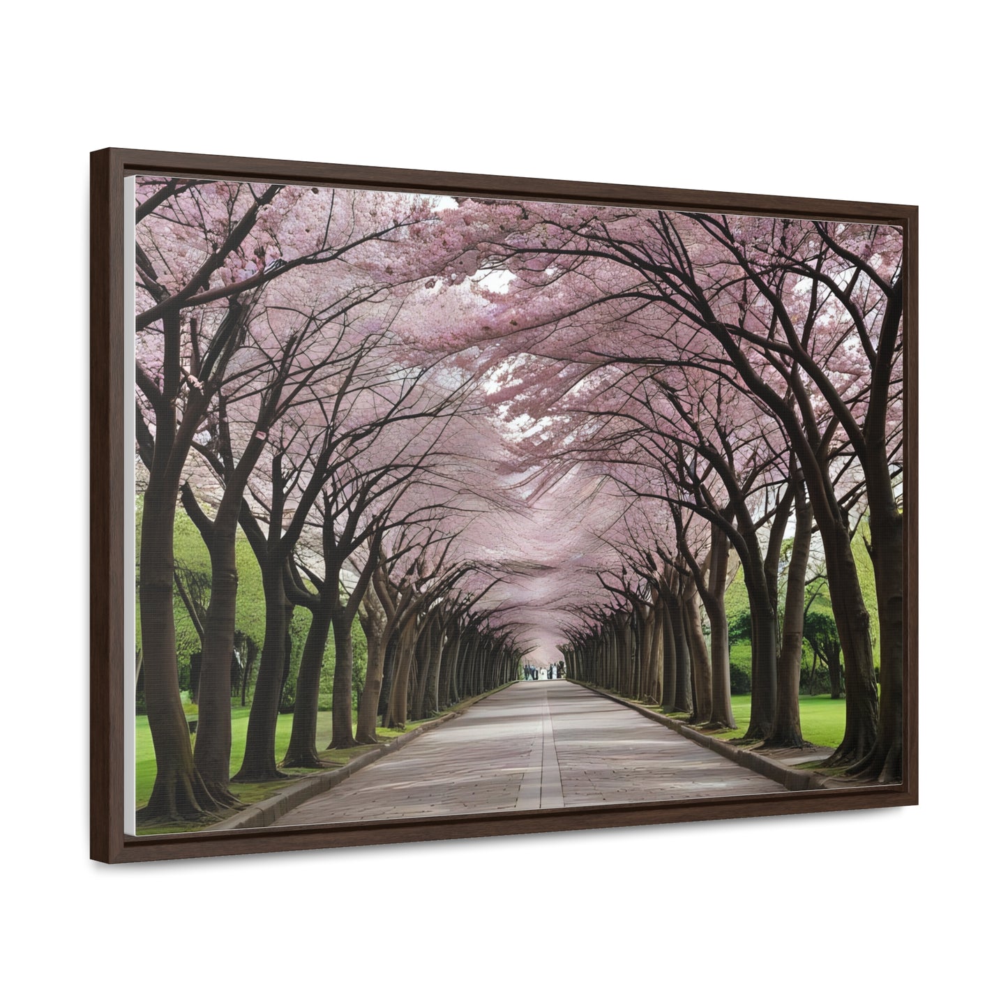 Cherry Blossoms, Gallery Canvas Wraps, Horizontal Frame