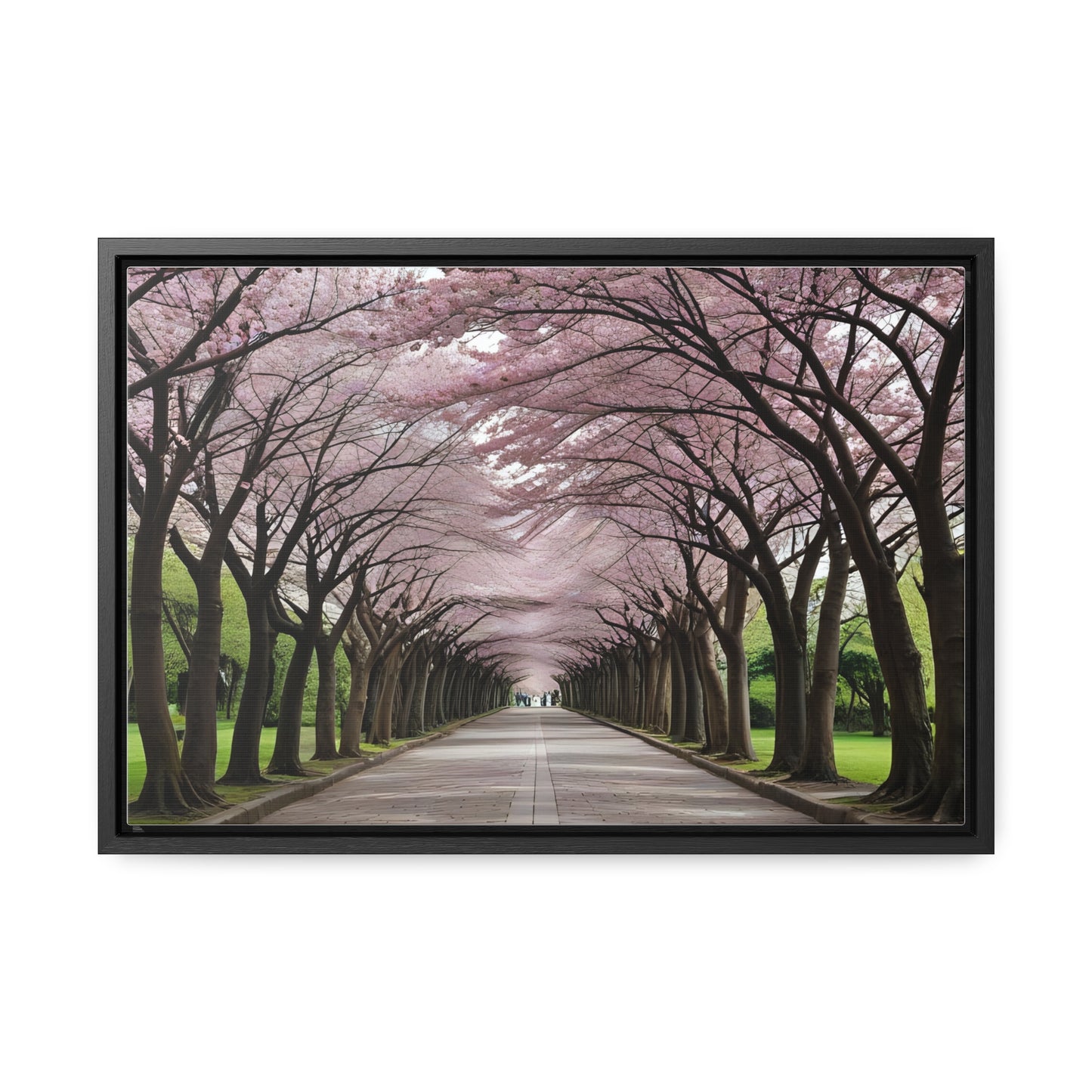 Cherry Blossoms, Gallery Canvas Wraps, Horizontal Frame