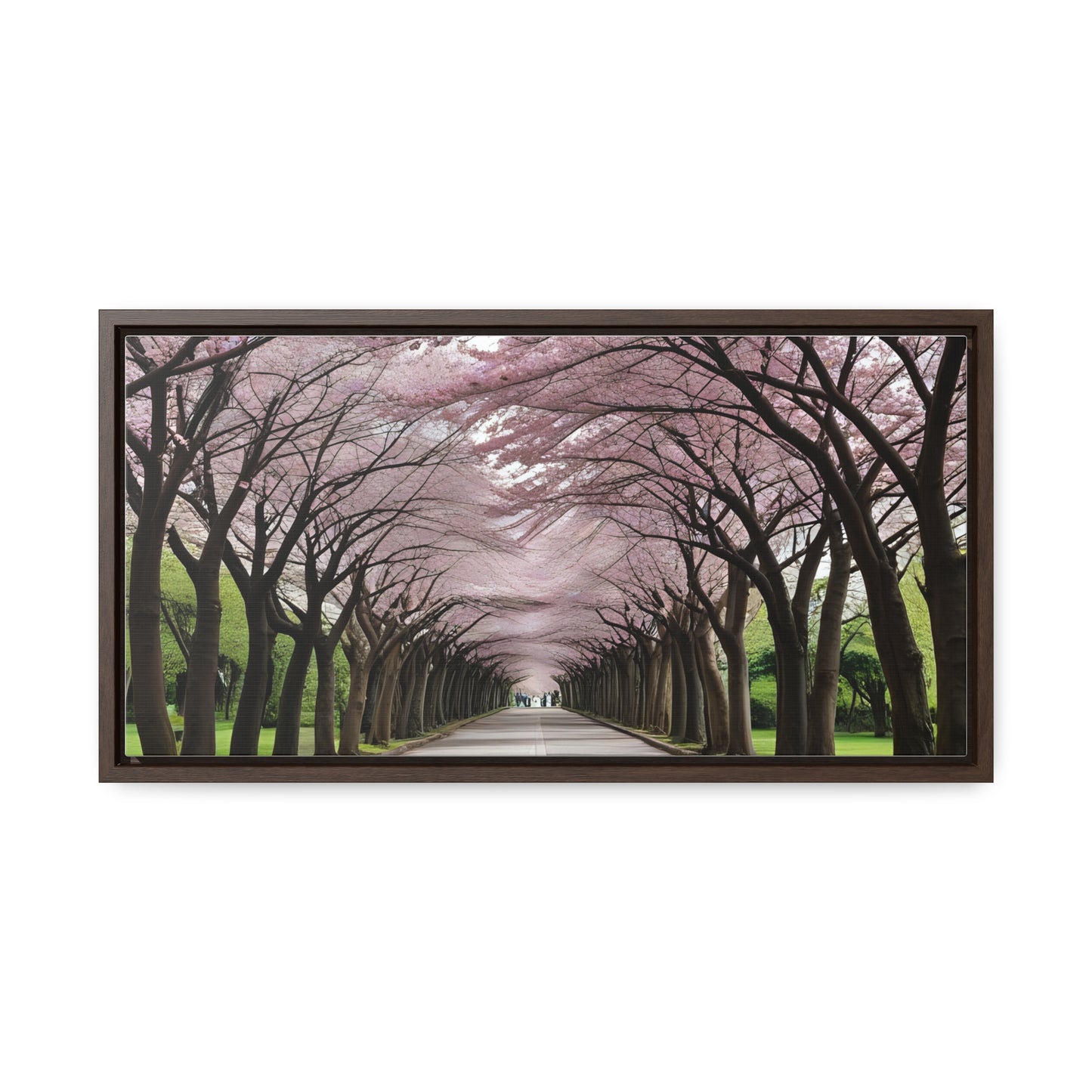 Cherry Blossoms, Gallery Canvas Wraps, Horizontal Frame