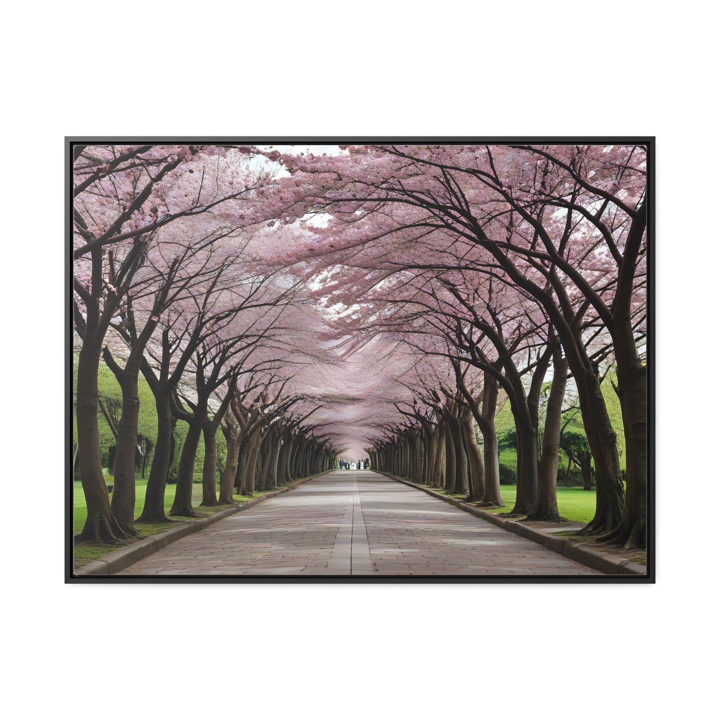 Cherry Blossoms, Gallery Canvas Wraps, Horizontal Frame