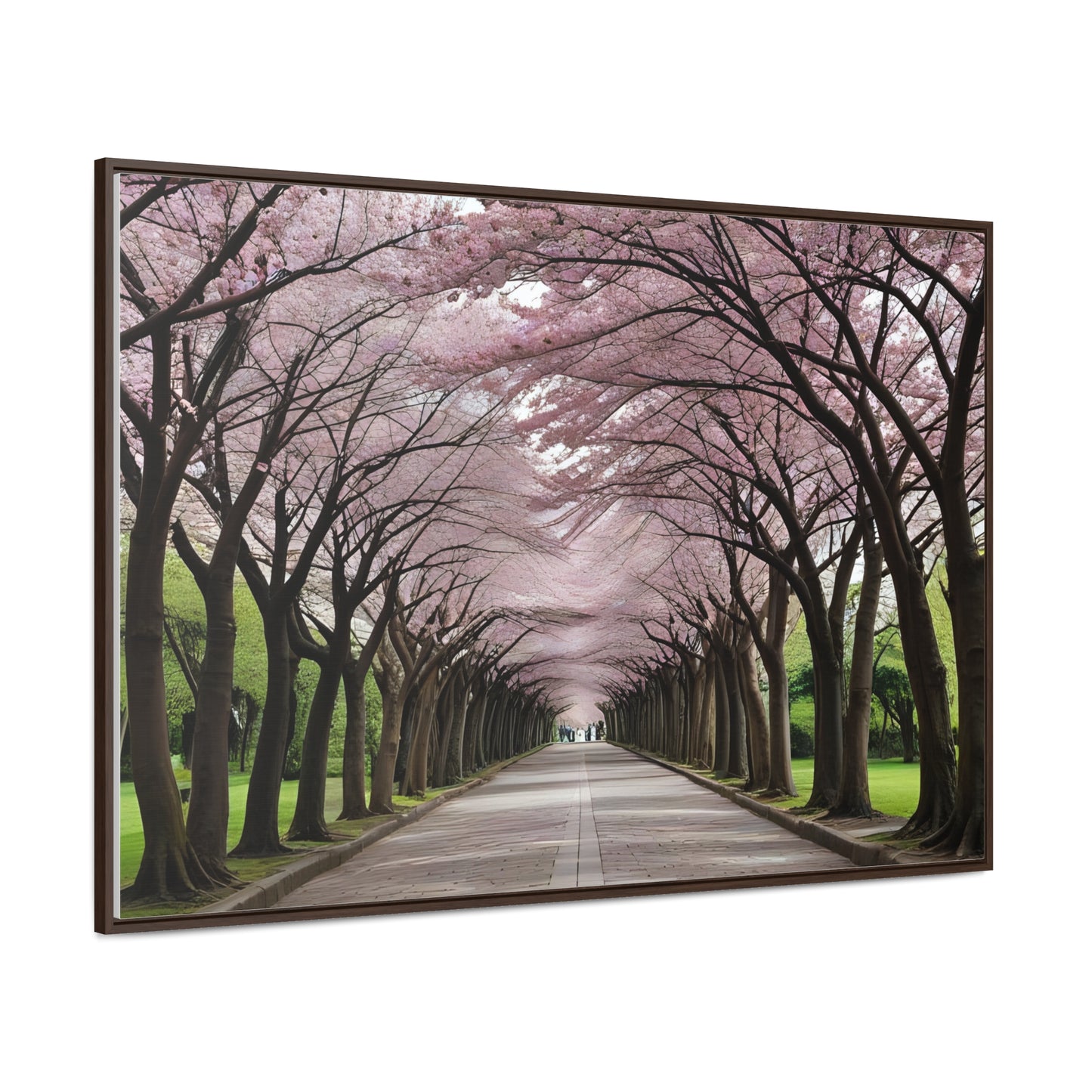 Cherry Blossoms, Gallery Canvas Wraps, Horizontal Frame