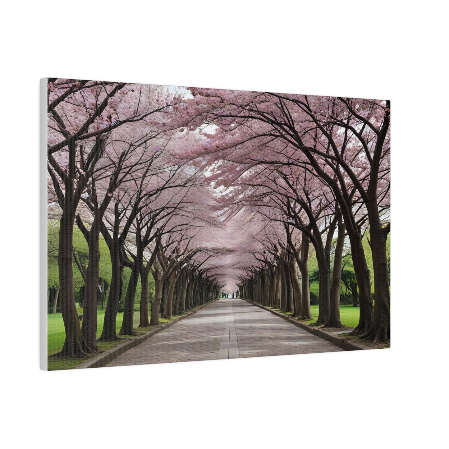 Cherry Blossoms, Wall Art, Matte Canvas, Stretched, 0.75"