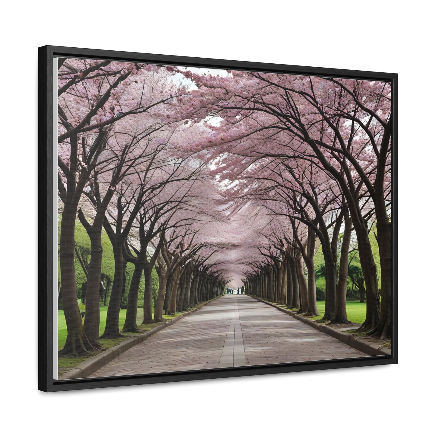 Cherry Blossoms, Gallery Canvas Wraps, Horizontal Frame