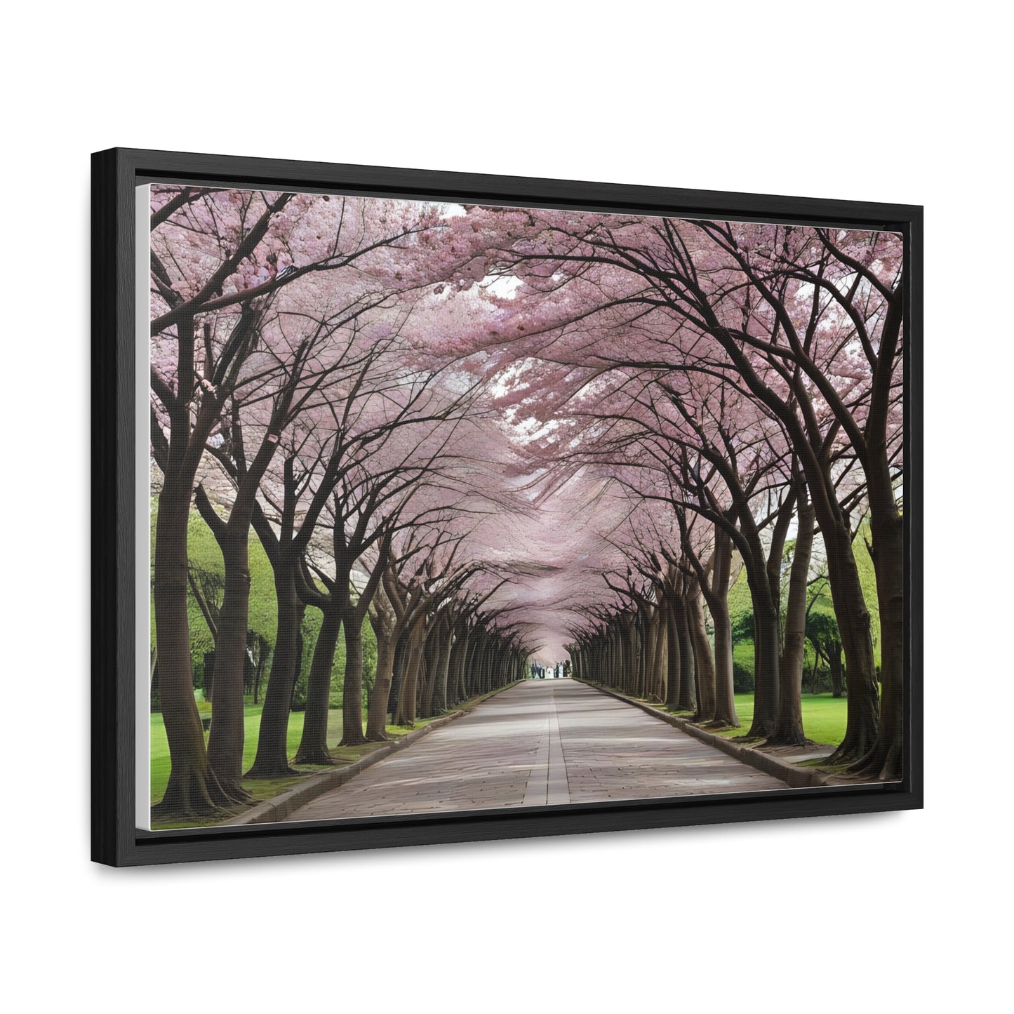 Cherry Blossoms, Gallery Canvas Wraps, Horizontal Frame