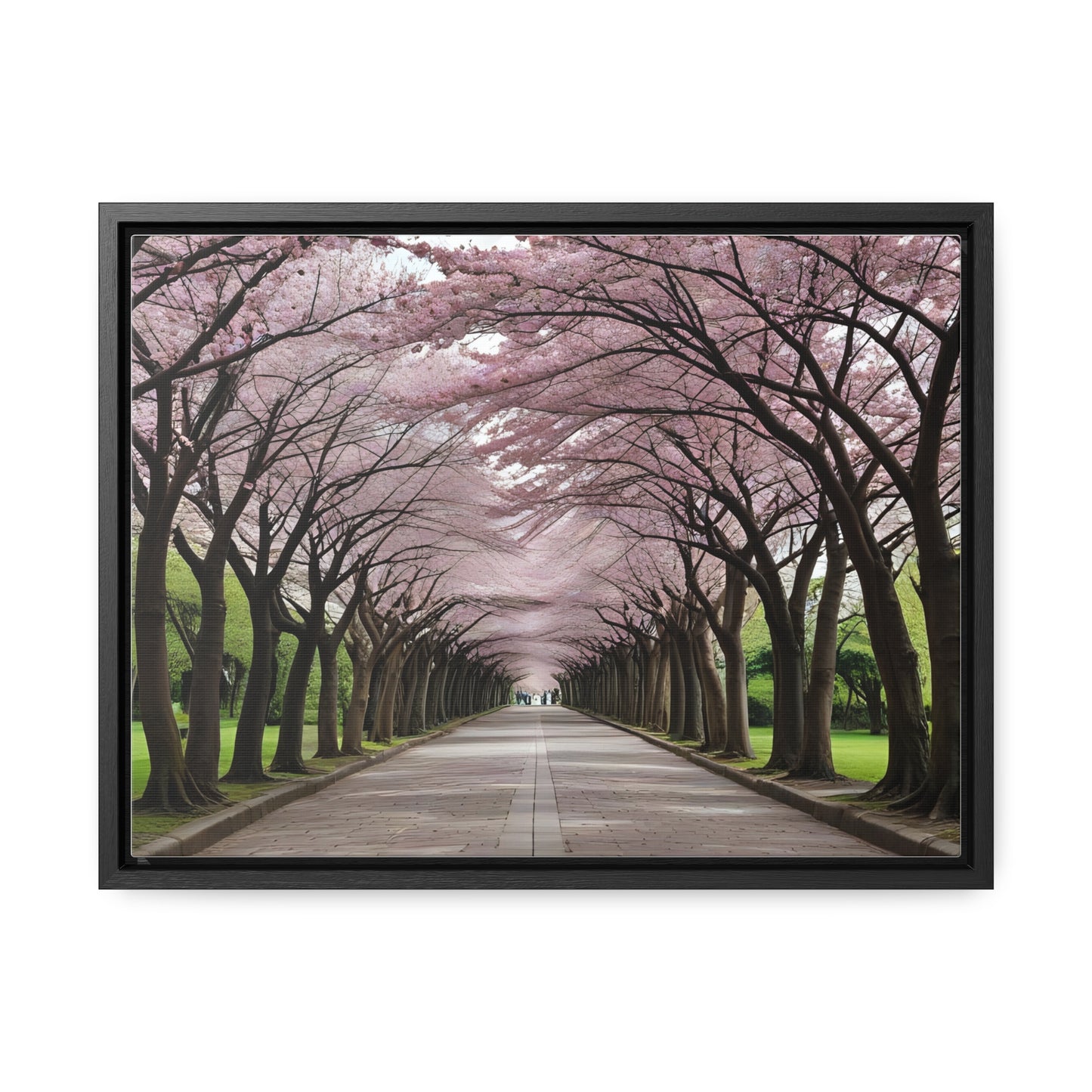 Cherry Blossoms, Gallery Canvas Wraps, Horizontal Frame