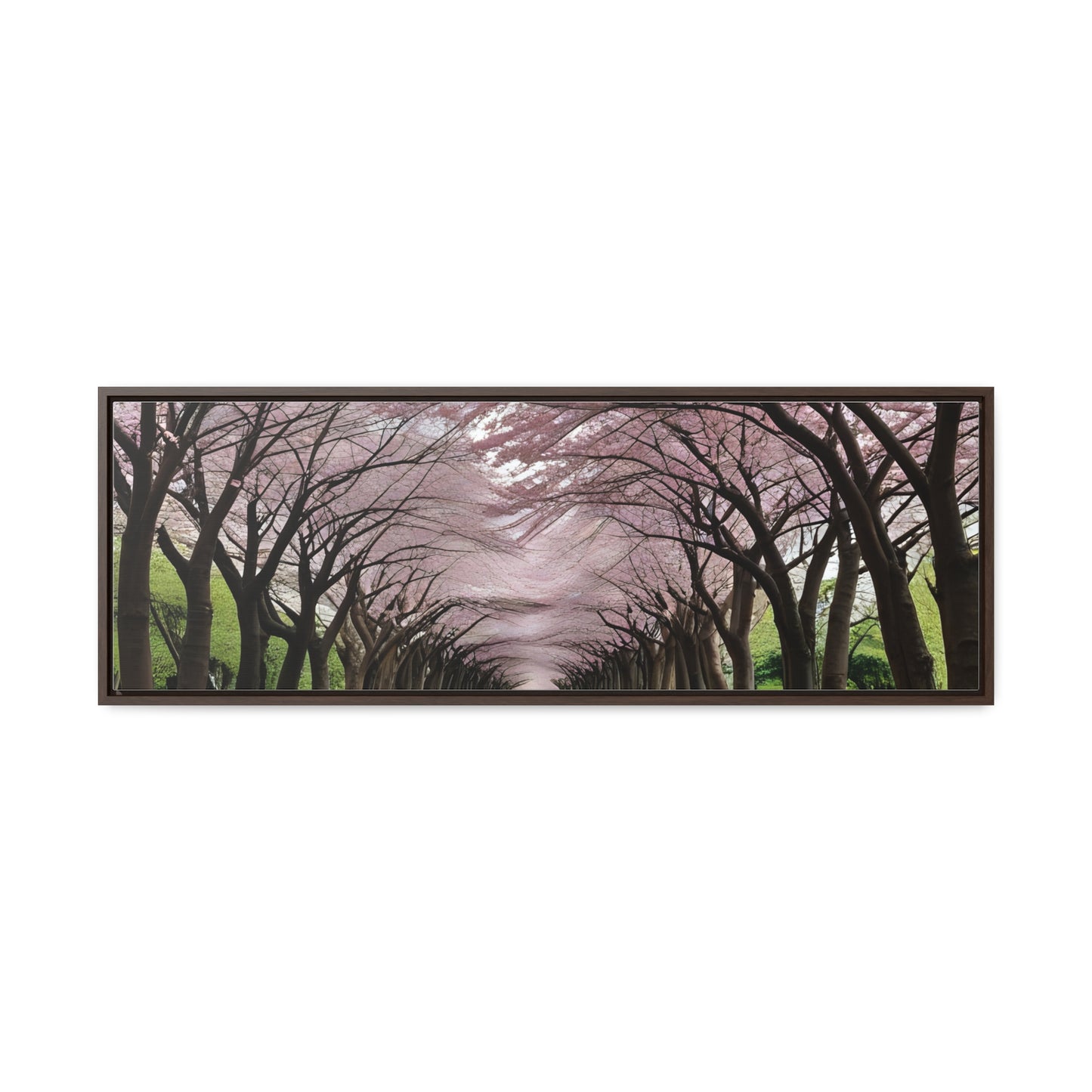 Cherry Blossoms, Gallery Canvas Wraps, Horizontal Frame