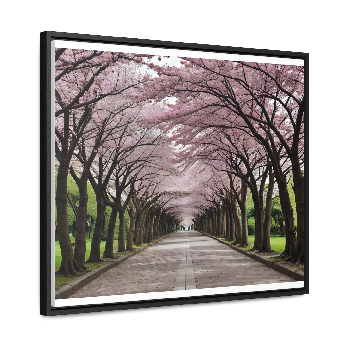 Cherry Blossoms, Gallery Canvas Wraps, Horizontal Frame