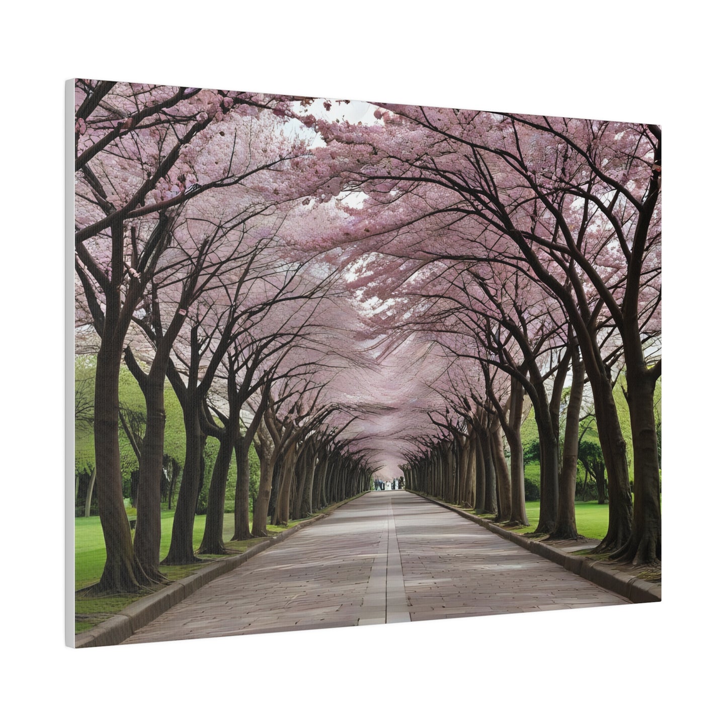 Cherry Blossoms, Wall Art, Matte Canvas, Stretched, 0.75"