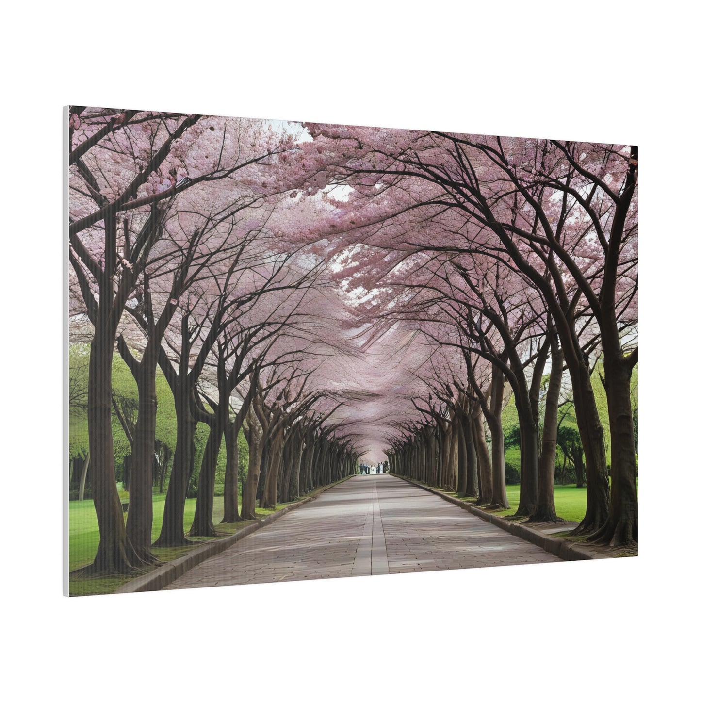 Cherry Blossoms, Wall Art, Matte Canvas, Stretched, 0.75"