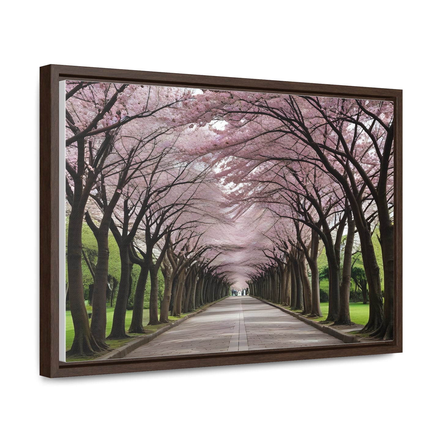 Cherry Blossoms, Gallery Canvas Wraps, Horizontal Frame