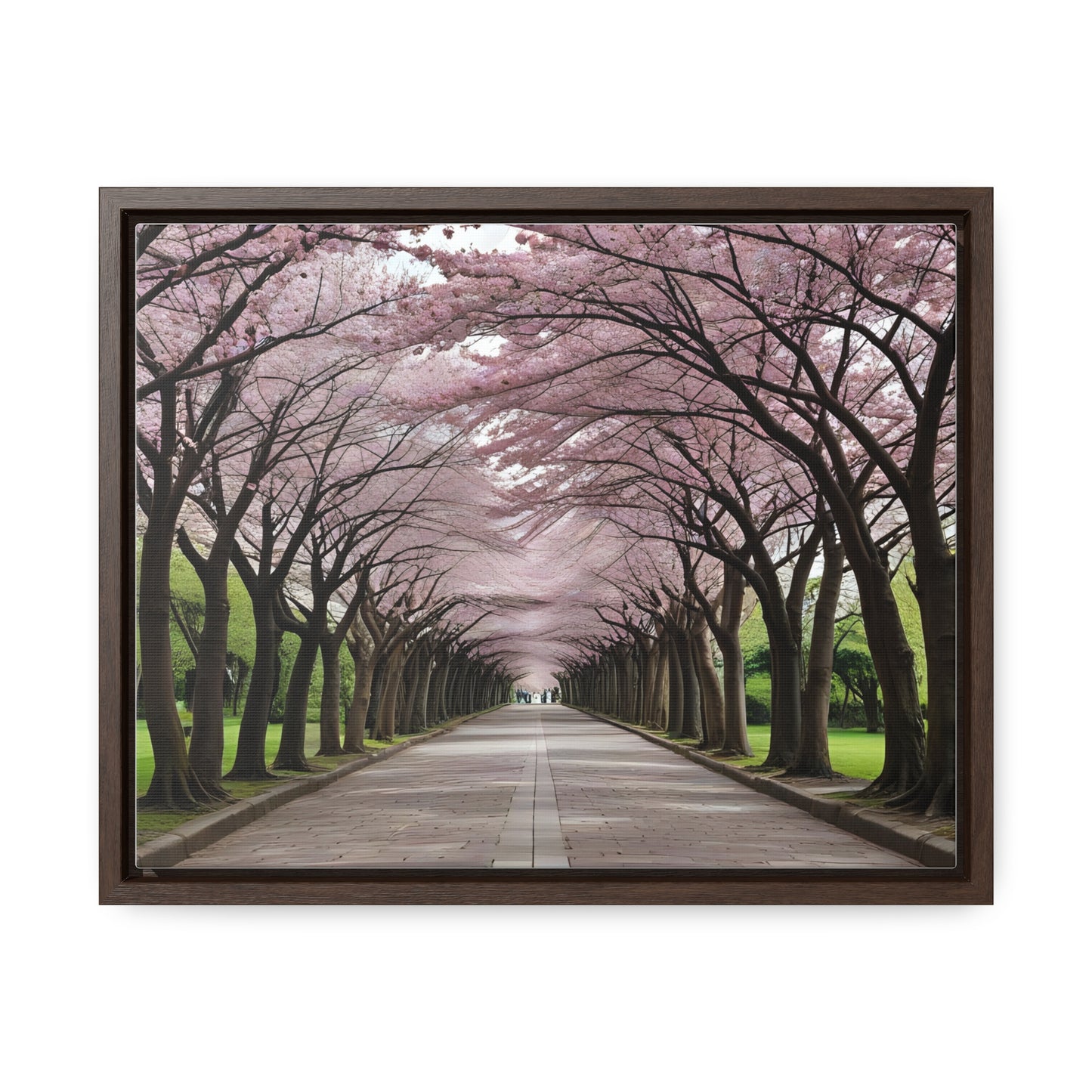 Cherry Blossoms, Gallery Canvas Wraps, Horizontal Frame