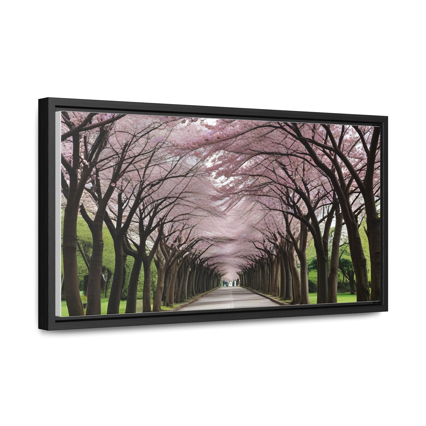 Cherry Blossoms, Gallery Canvas Wraps, Horizontal Frame