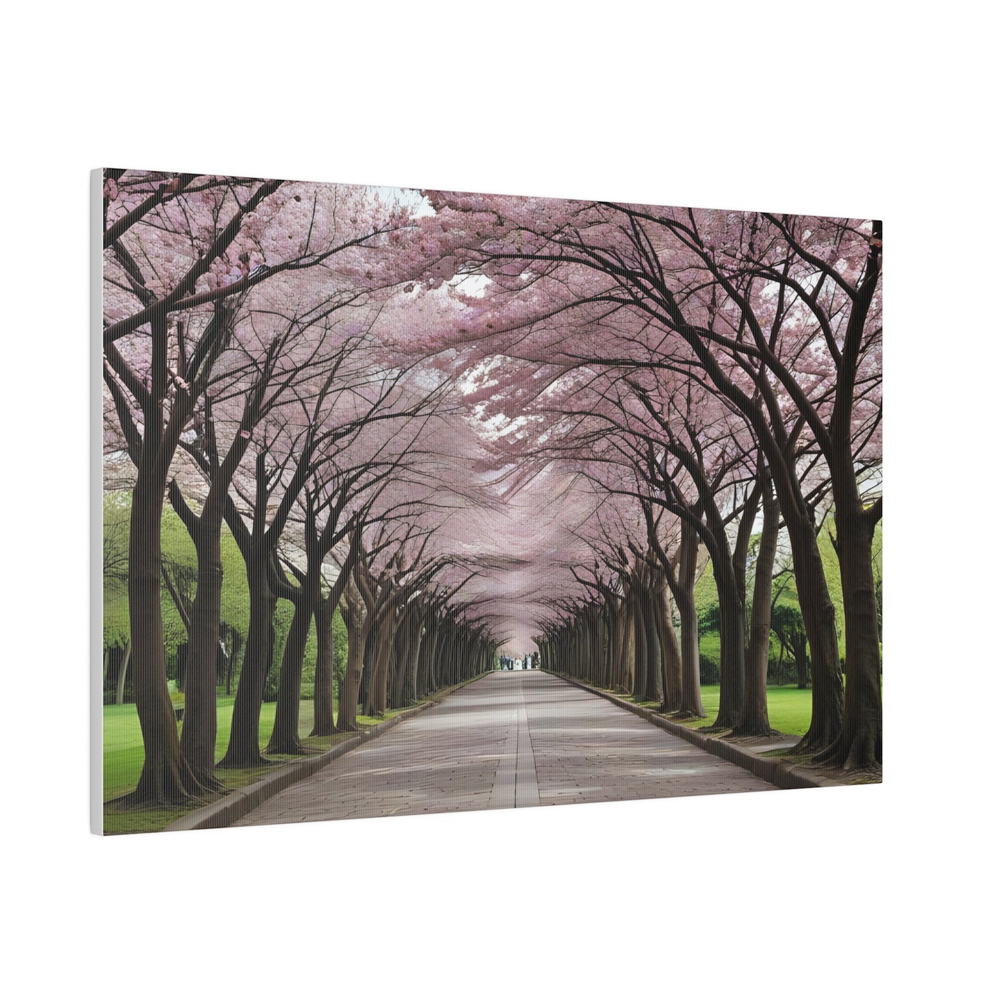 Cherry Blossoms, Wall Art, Matte Canvas, Stretched, 0.75"