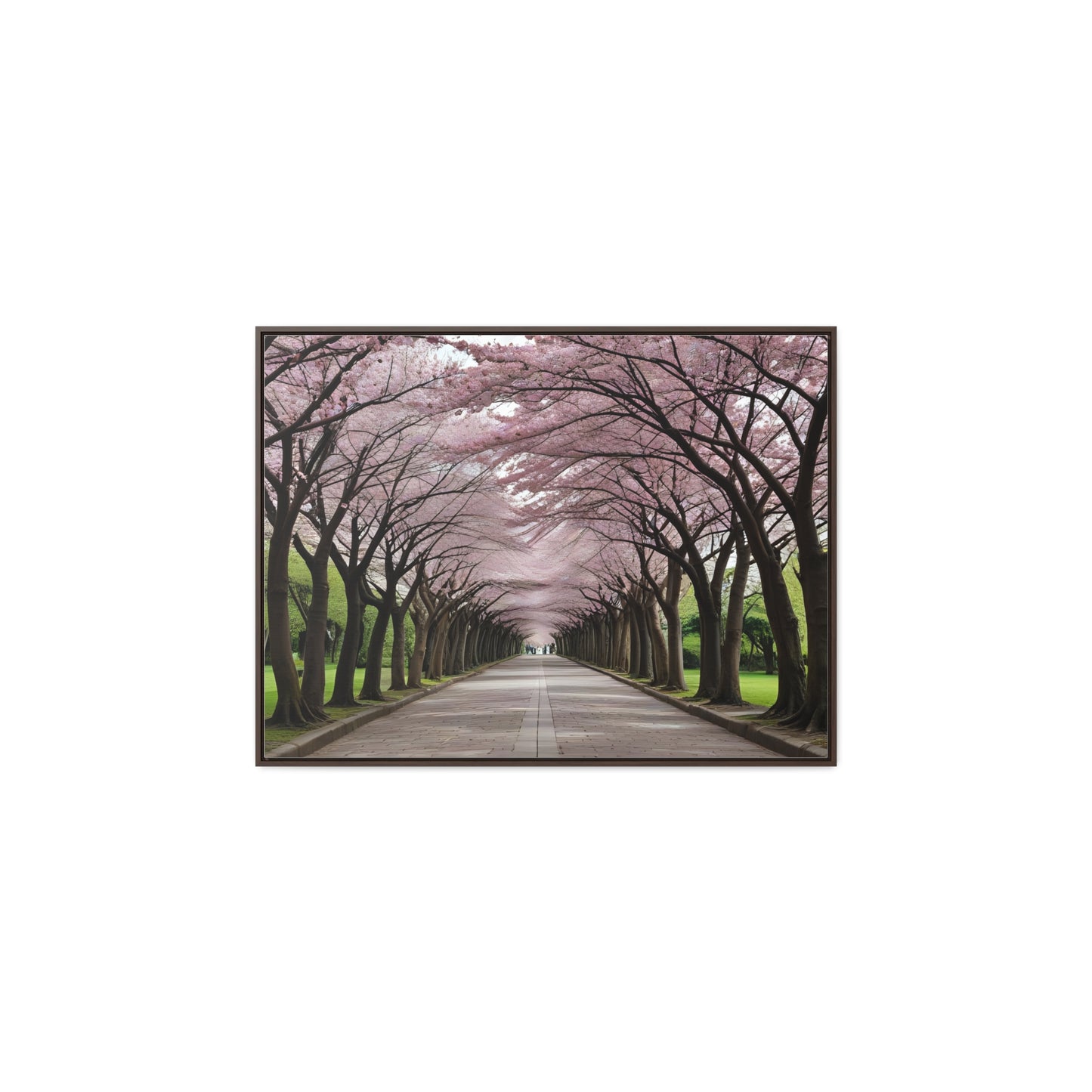 Cherry Blossoms, Gallery Canvas Wraps, Horizontal Frame