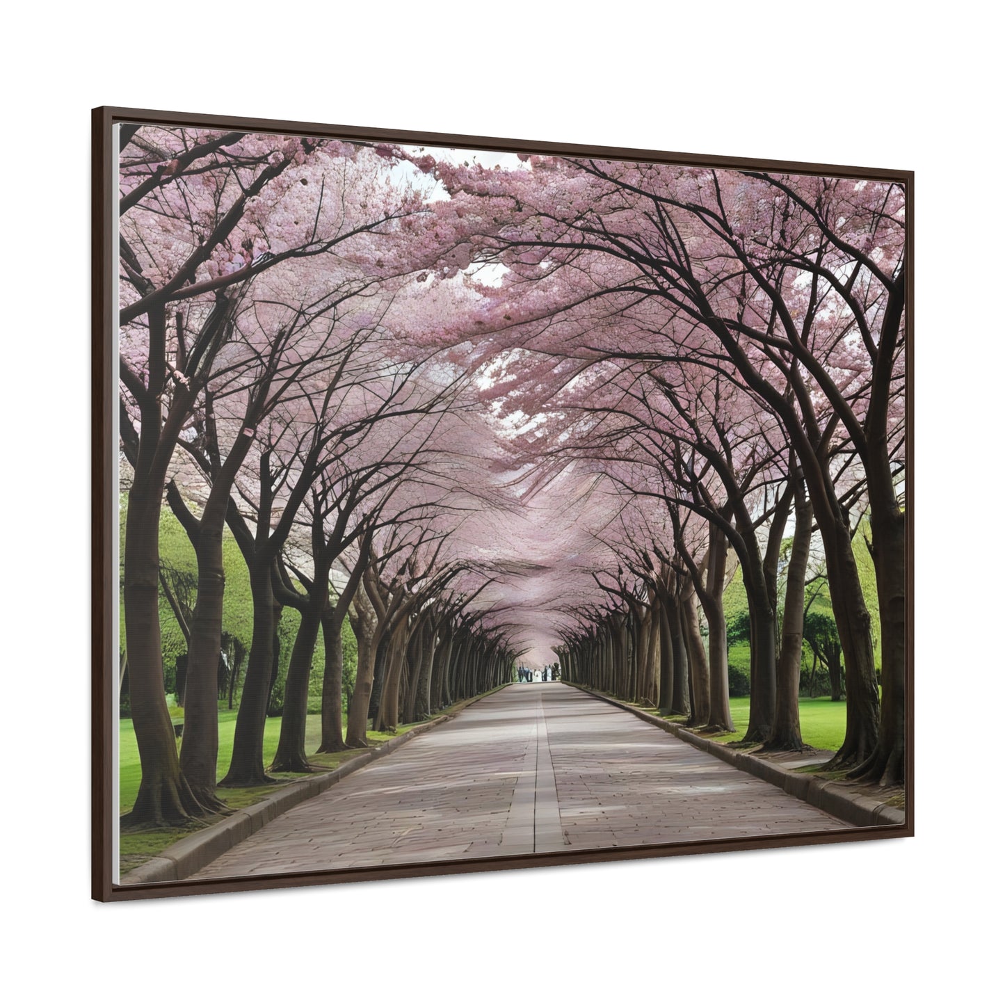 Cherry Blossoms, Gallery Canvas Wraps, Horizontal Frame