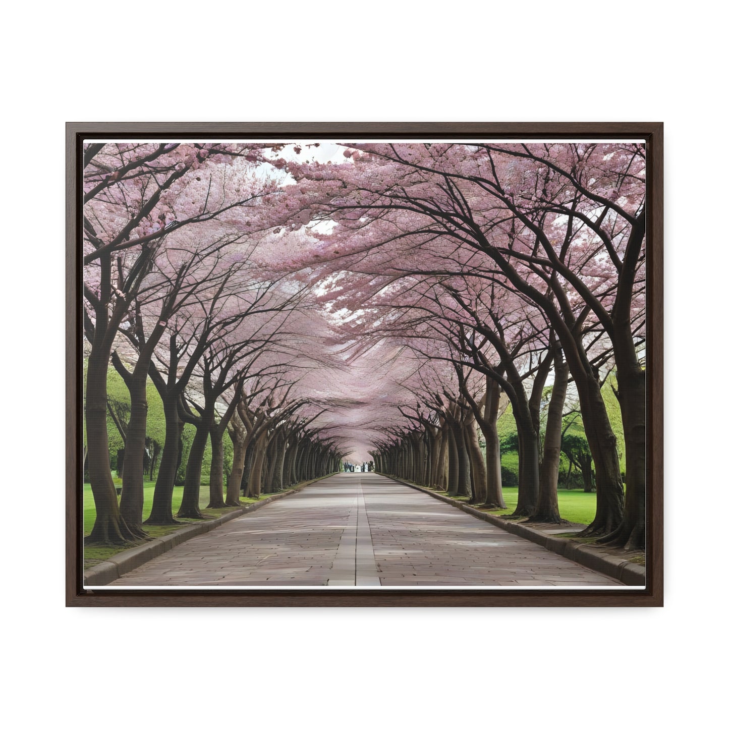 Cherry Blossoms, Gallery Canvas Wraps, Horizontal Frame