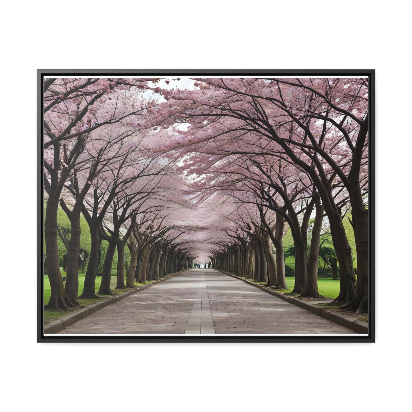 Cherry Blossoms, Gallery Canvas Wraps, Horizontal Frame