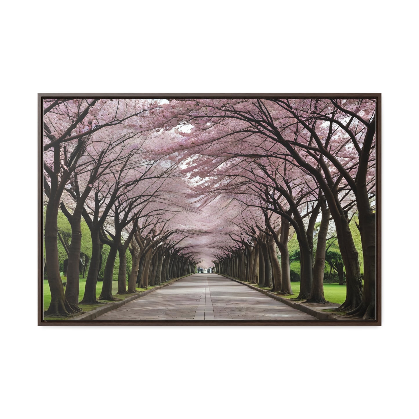 Cherry Blossoms, Gallery Canvas Wraps, Horizontal Frame