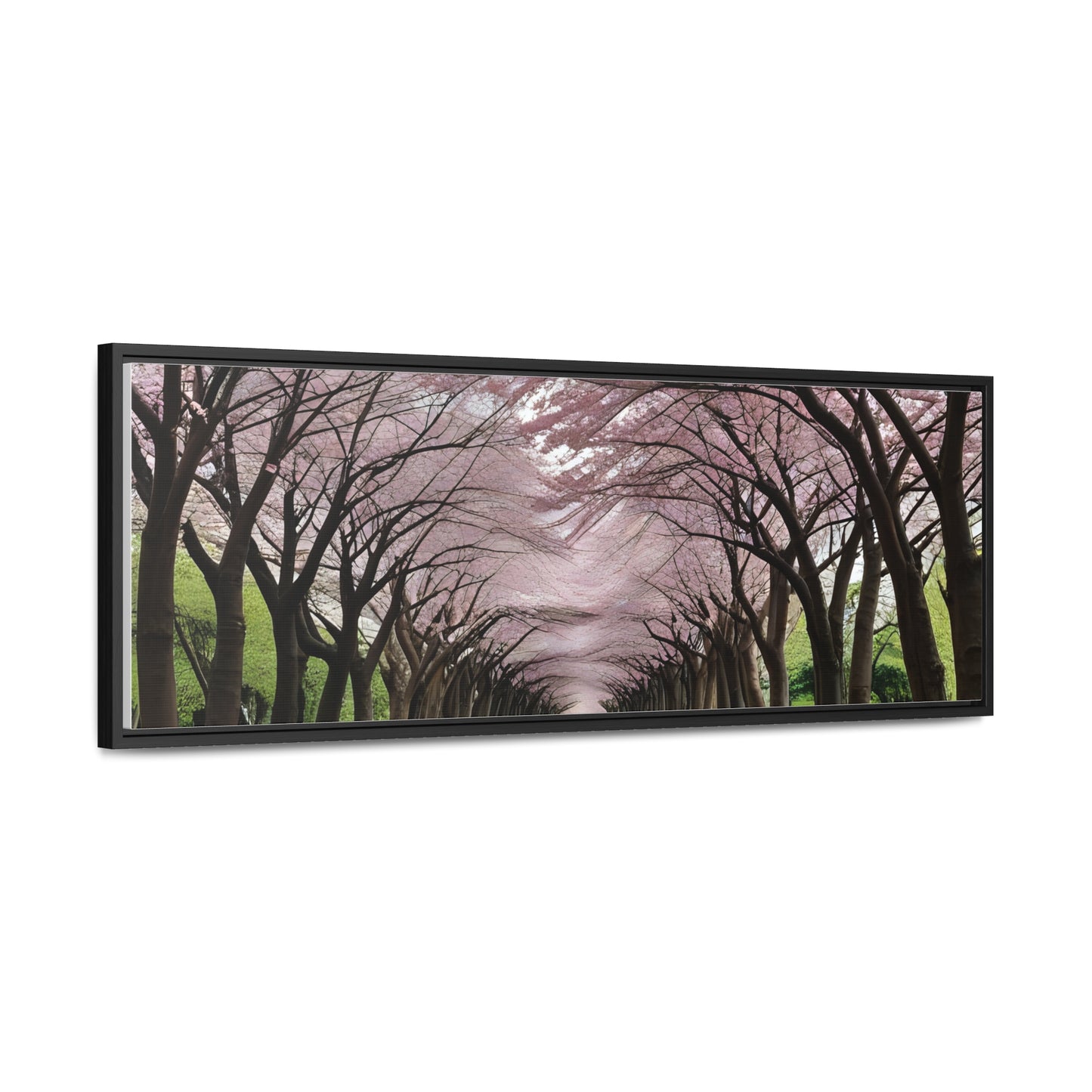 Cherry Blossoms, Gallery Canvas Wraps, Horizontal Frame