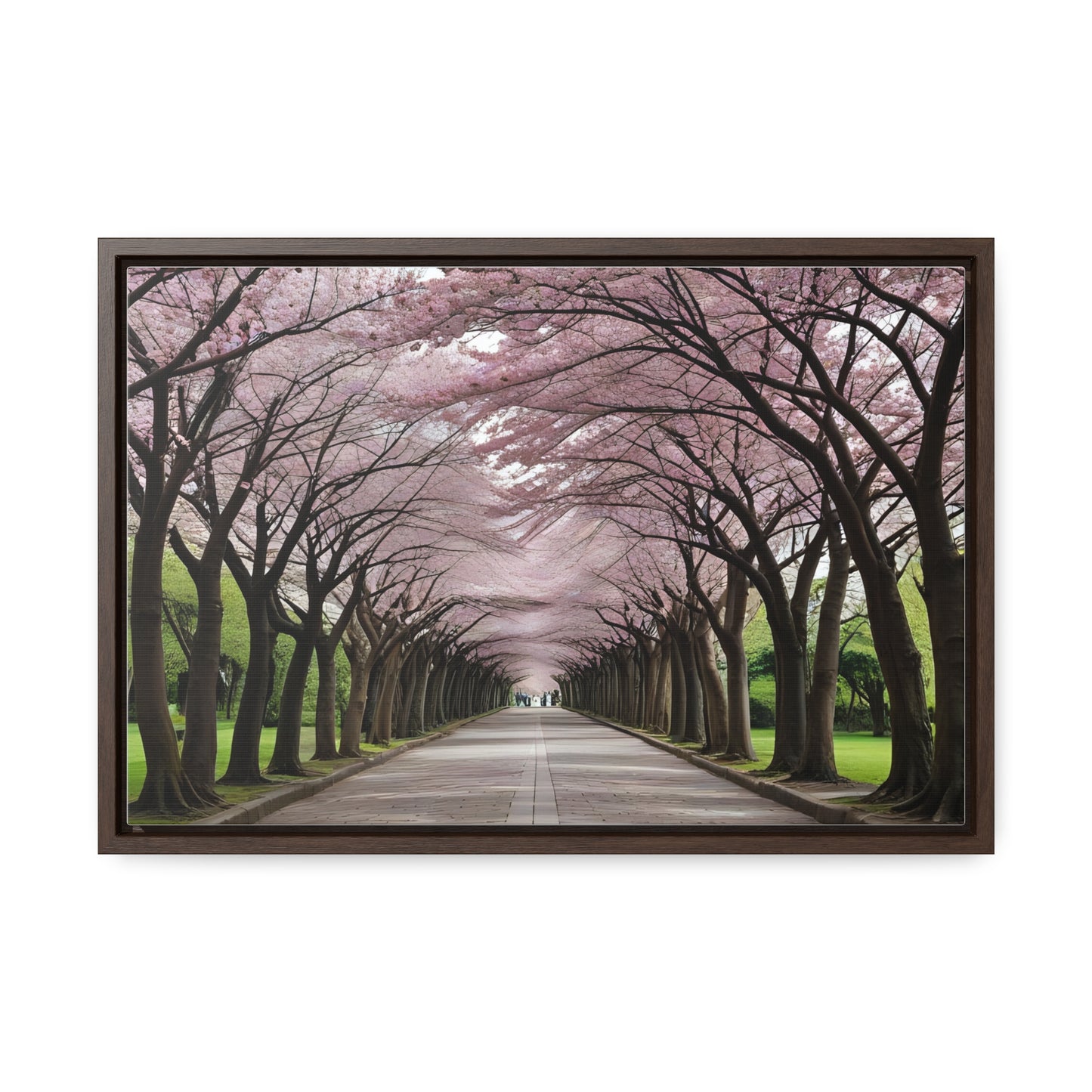 Cherry Blossoms, Gallery Canvas Wraps, Horizontal Frame