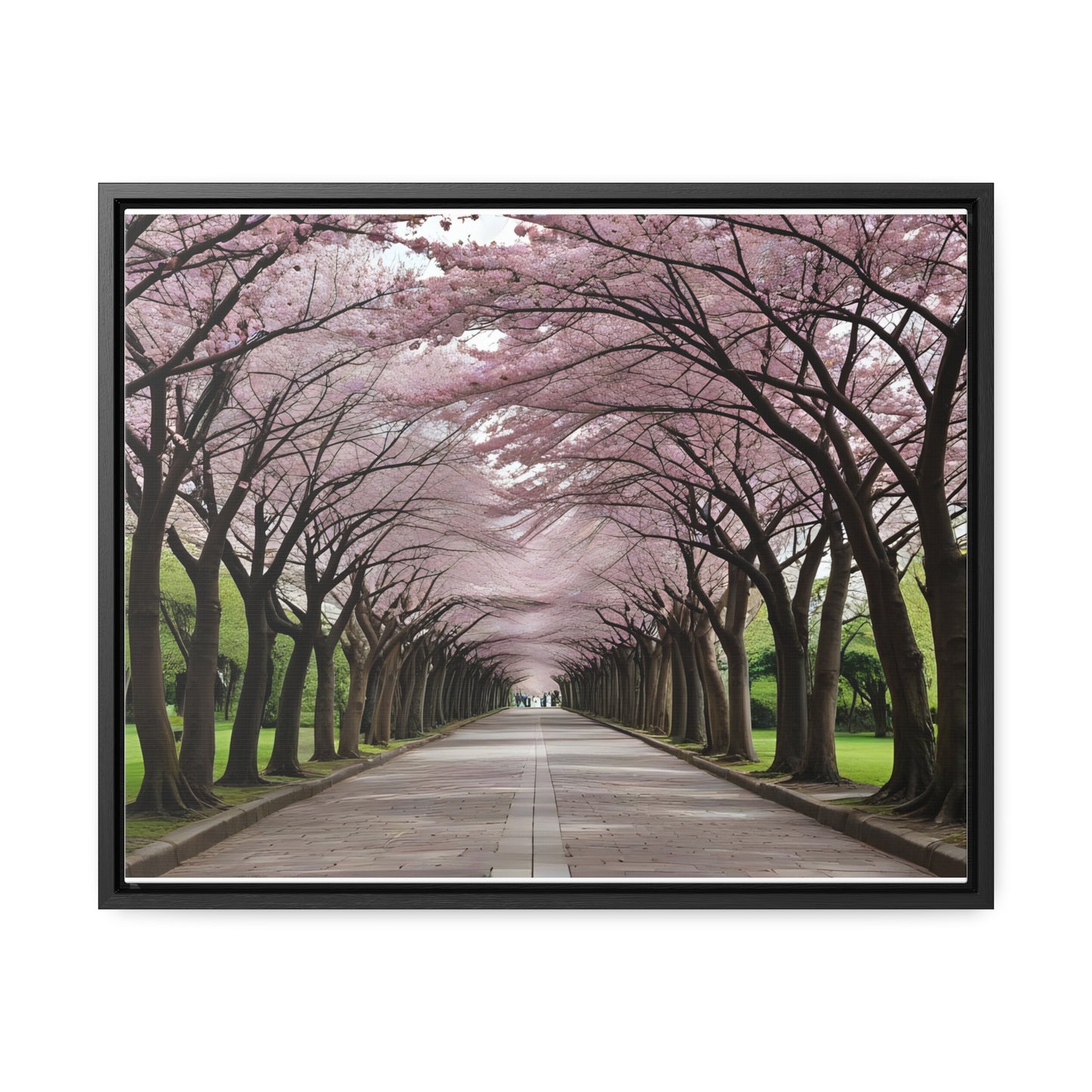 Cherry Blossoms, Gallery Canvas Wraps, Horizontal Frame