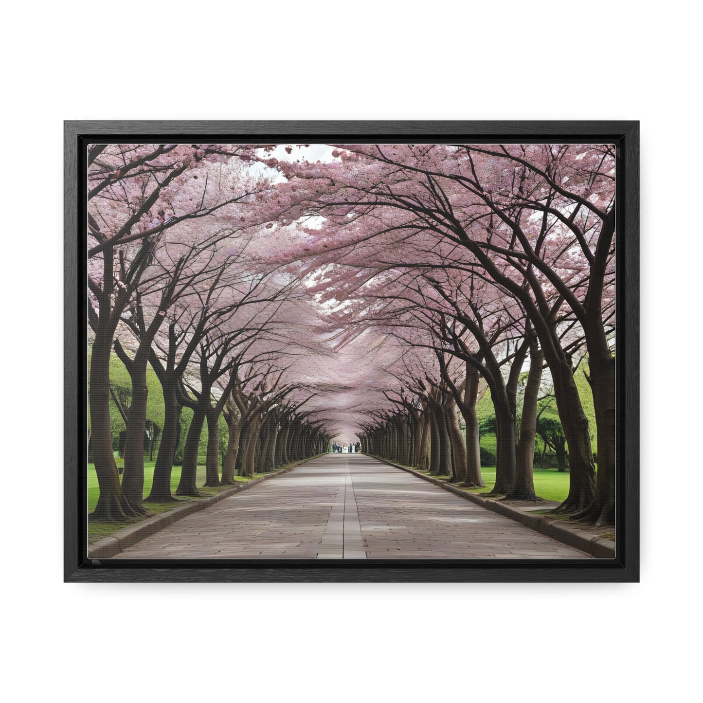 Cherry Blossoms, Gallery Canvas Wraps, Horizontal Frame