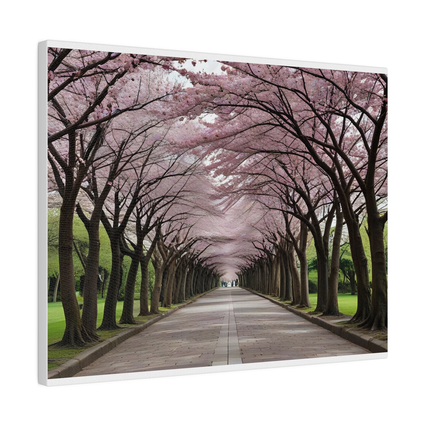 Cherry Blossoms, Wall Art, Matte Canvas, Stretched, 0.75"