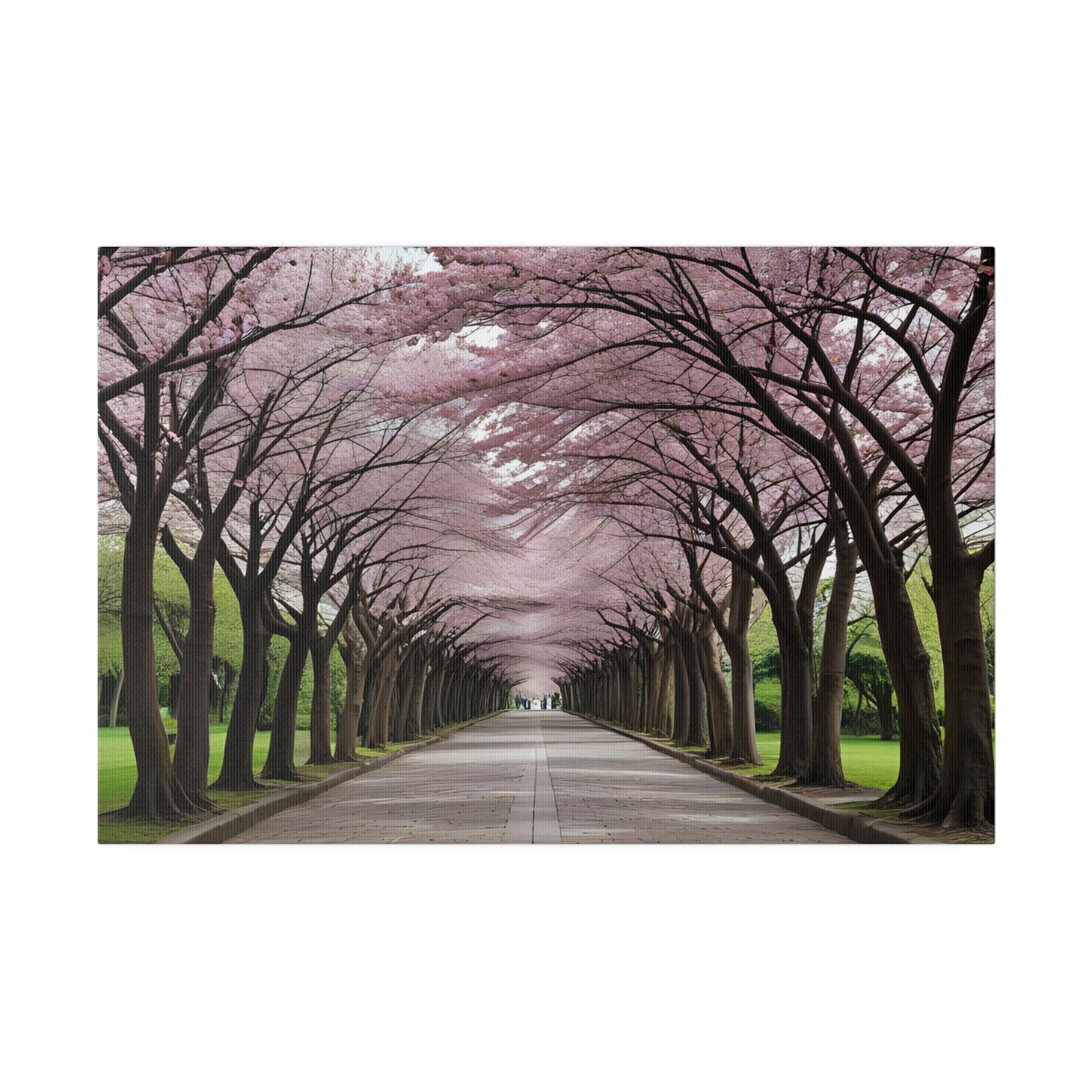 Cherry Blossoms, Wall Art, Matte Canvas, Stretched, 0.75"