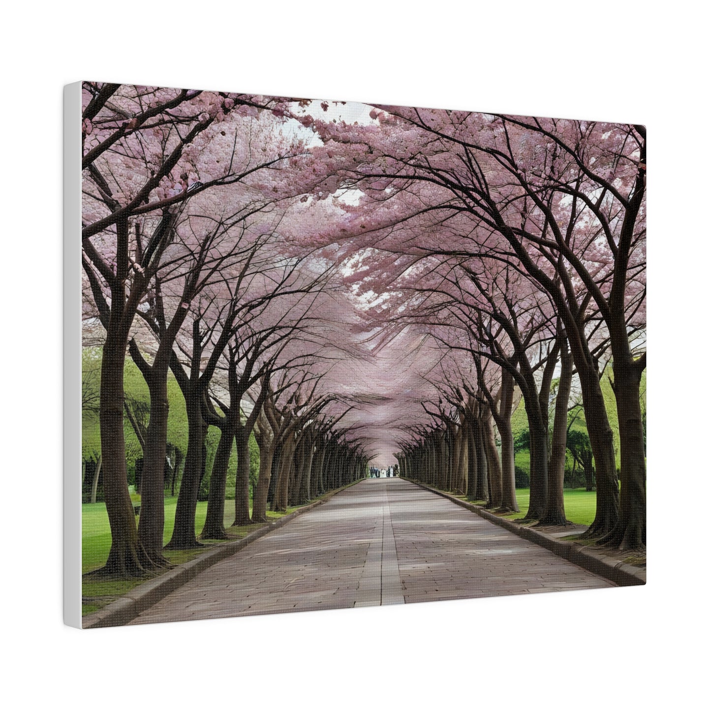 Cherry Blossoms, Wall Art, Matte Canvas, Stretched, 0.75"