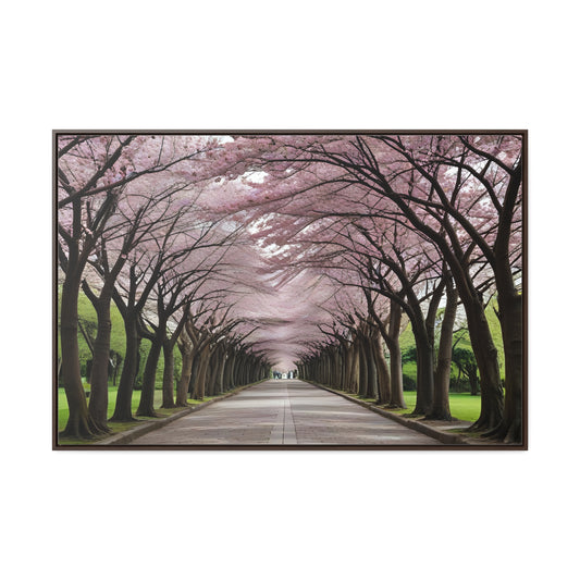 Cherry Blossoms, Gallery Canvas Wraps, Horizontal Frame