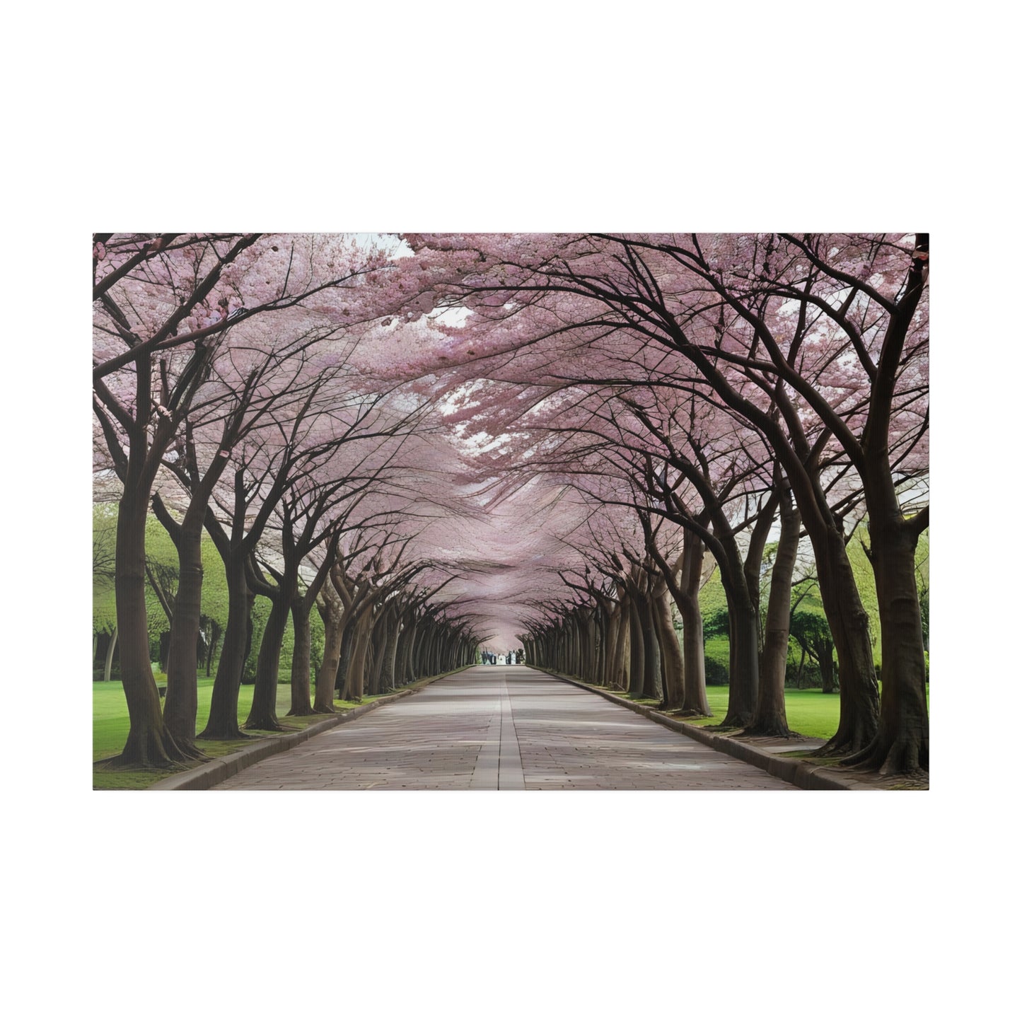 Cherry Blossoms, Wall Art, Matte Canvas, Stretched, 0.75"