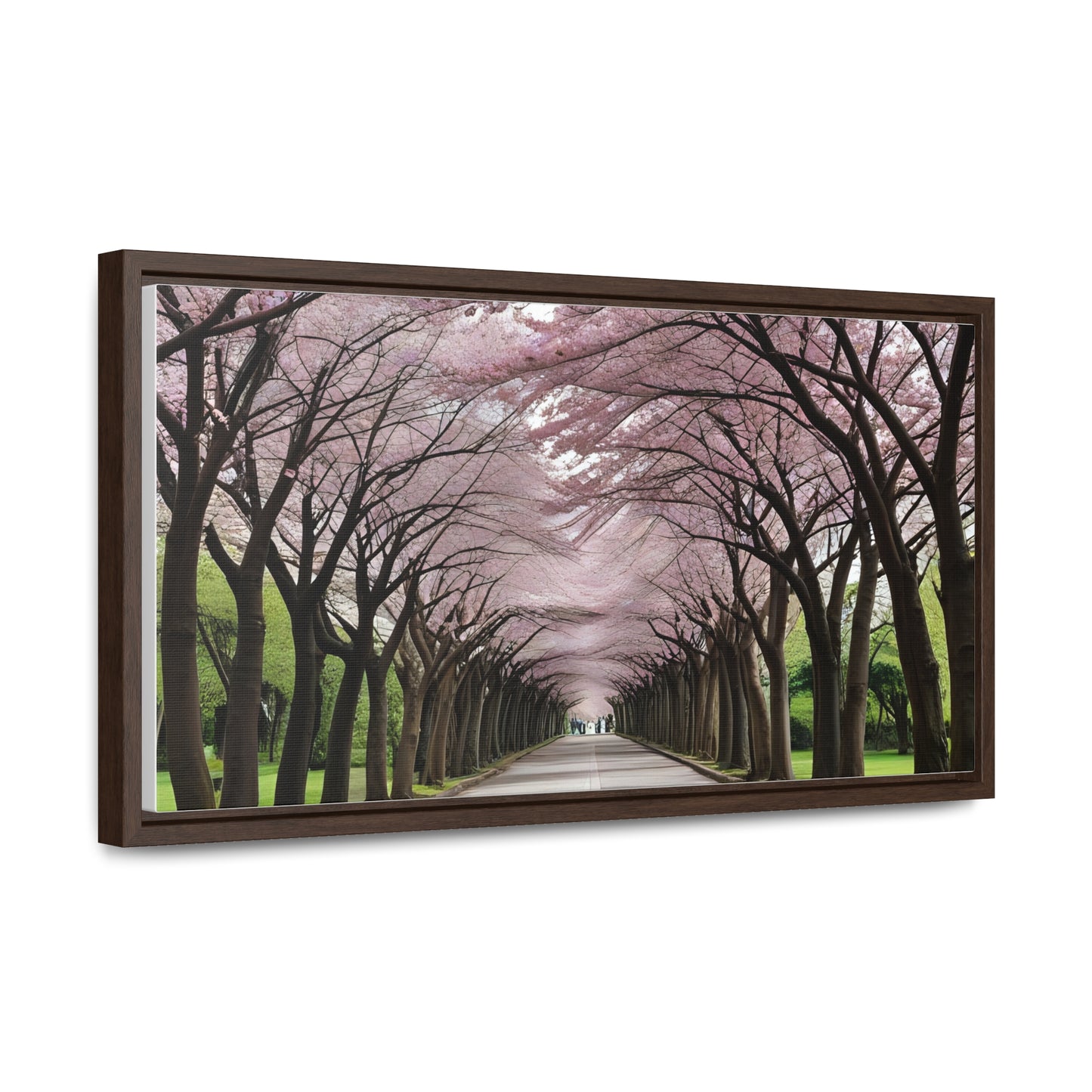 Cherry Blossoms, Gallery Canvas Wraps, Horizontal Frame