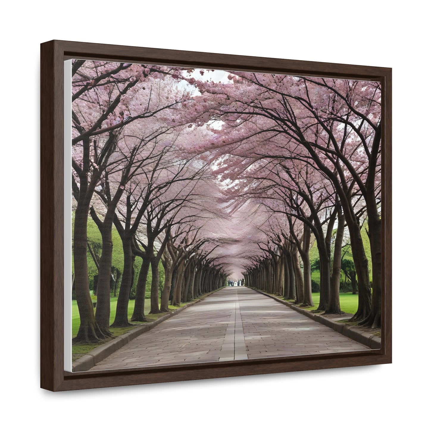 Cherry Blossoms, Gallery Canvas Wraps, Horizontal Frame