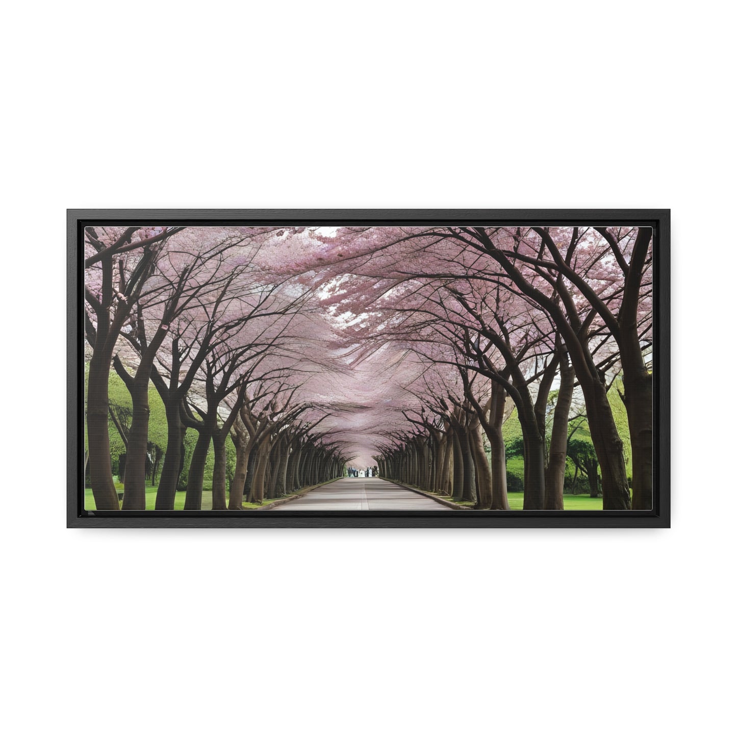 Cherry Blossoms, Gallery Canvas Wraps, Horizontal Frame