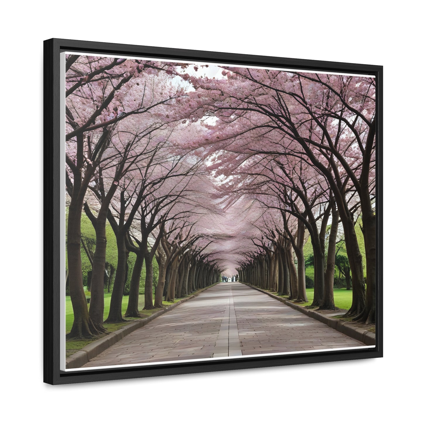 Cherry Blossoms, Gallery Canvas Wraps, Horizontal Frame