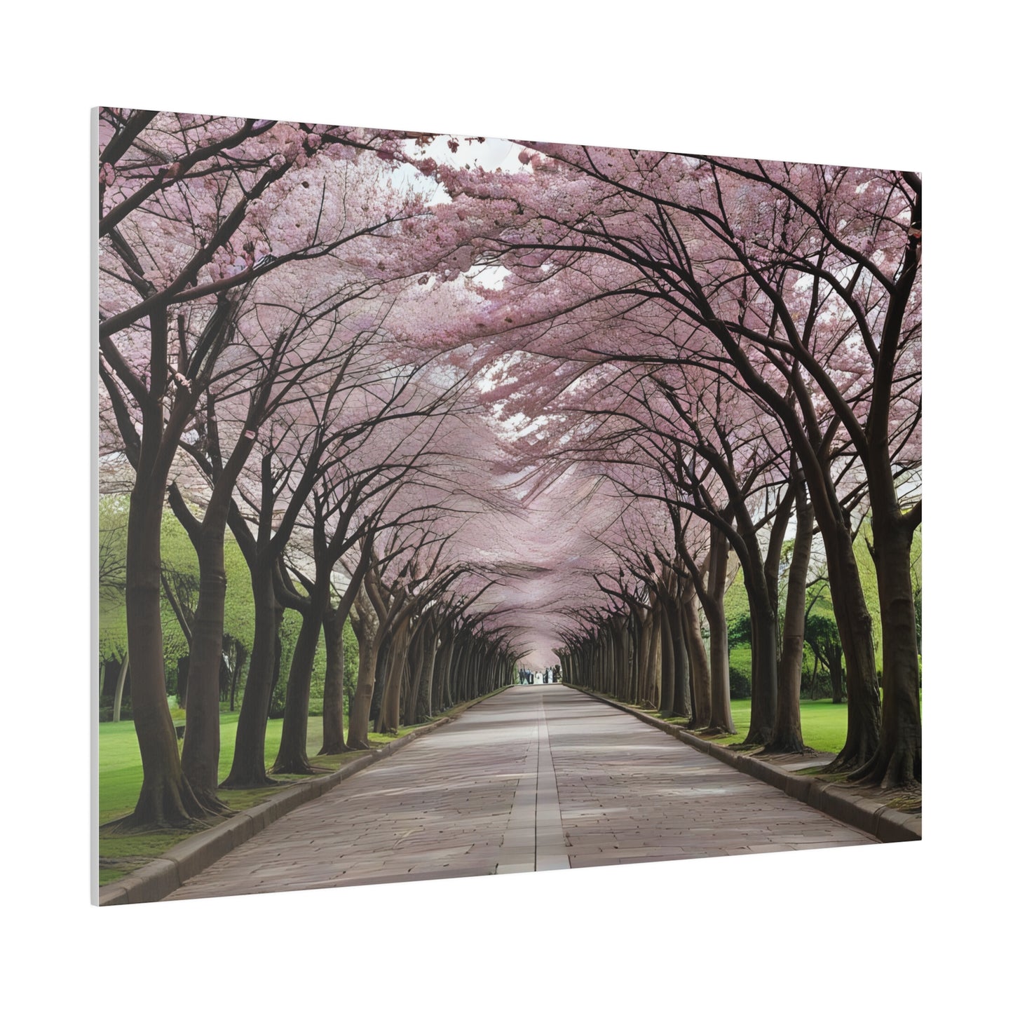 Cherry Blossoms, Wall Art, Matte Canvas, Stretched, 0.75"