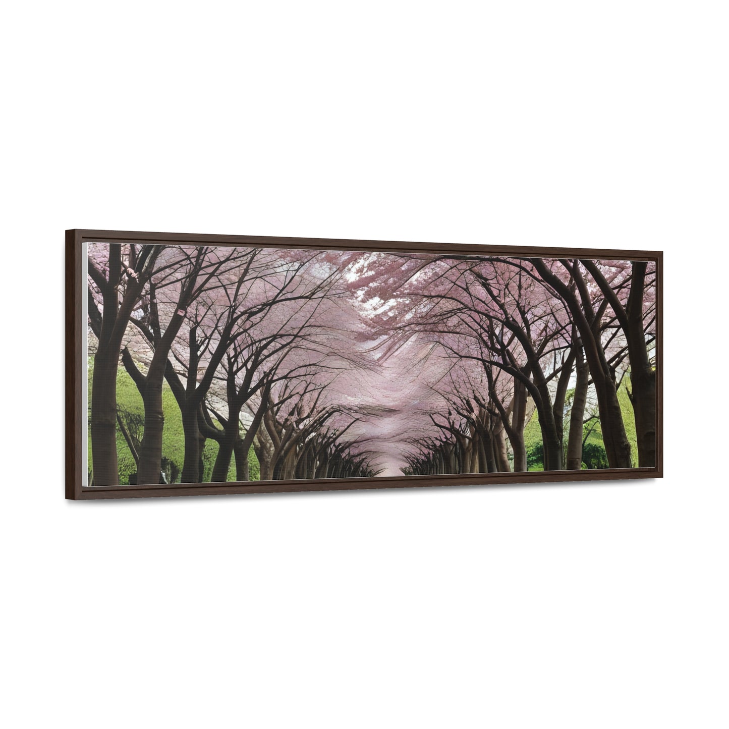 Cherry Blossoms, Gallery Canvas Wraps, Horizontal Frame