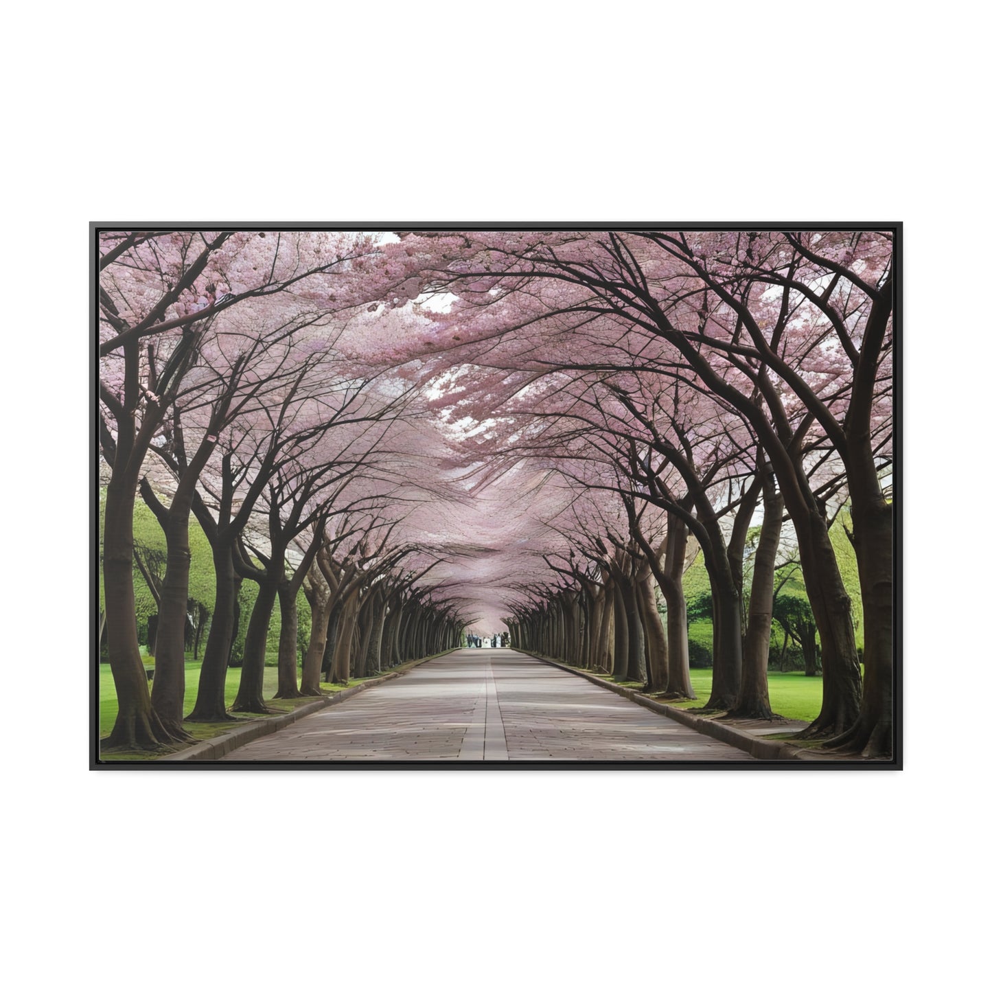 Cherry Blossoms, Gallery Canvas Wraps, Horizontal Frame